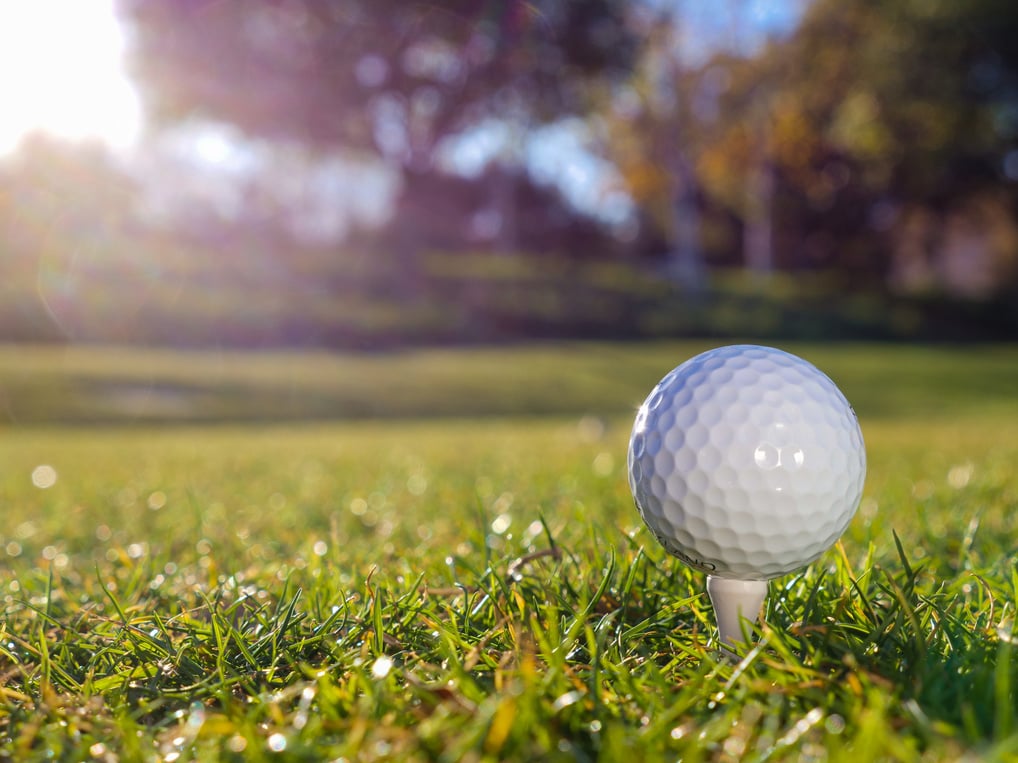 Golf Ball in Close Up Photography